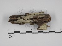 登錄號:F0030543藏品圖，第1張