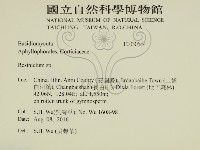 樹脂殼菌屬藏品圖，第2張