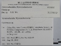 登錄號:F0030545藏品圖，第2張