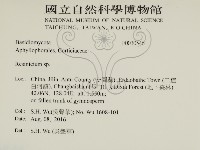 樹脂殼菌屬藏品圖，第2張