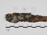 登錄號:F0030547藏品圖，第1張