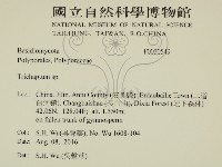 附毛菌屬藏品圖，第2張