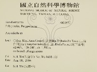 登錄號:F0030550藏品圖，第2張