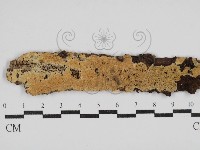 登錄號:F0030550藏品圖，第1張