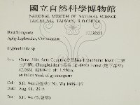 絲齒菌屬藏品圖，第2張