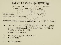 登錄號:F0030553藏品圖，第2張