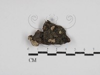 登錄號:F0030553藏品圖，第1張