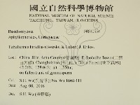 登錄號:F0030554藏品圖，第2張