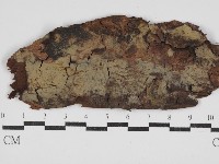 登錄號:F0030555藏品圖，第1張