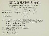 絲齒菌屬藏品圖，第2張