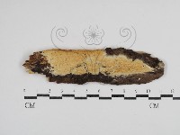 登錄號:F0030557藏品圖，第1張