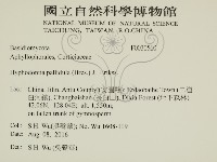 登錄號:F0030560藏品圖，第2張