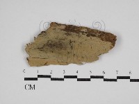 登錄號:F0030560藏品圖，第1張