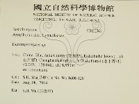 登錄號:F0030561藏品圖，第2張