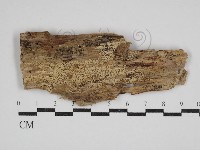 登錄號:F0030561藏品圖，第1張
