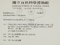 登錄號:F0030565藏品圖，第2張