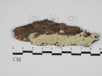 登錄號:F0030565藏品圖，第1張