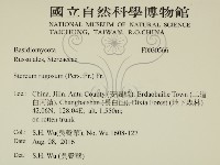 登錄號:F0030566藏品圖，第2張