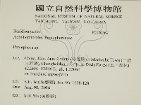 筍殼菌屬藏品圖，第2張