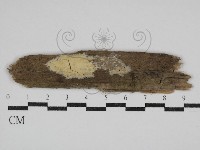 登錄號:F0030568藏品圖，第1張