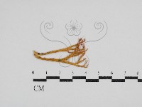 登錄號:F0030570藏品圖，第1張