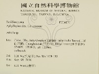 阿太菌屬藏品圖，第2張