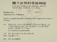 登錄號:F0030572藏品圖，第2張