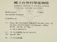 刺皮菌屬藏品圖，第2張