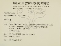 阿太菌屬藏品圖，第2張