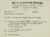 登錄號:F0030577藏品圖，第2張