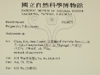 骨皮菌屬藏品圖，第2張