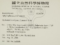 登錄號:F0030579藏品圖，第2張