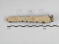 登錄號:F0030581藏品圖，第1張