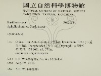 登錄號:F0030584藏品圖，第2張