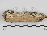 登錄號:F0030585藏品圖，第1張