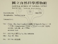 剛毛絲皮菌藏品圖，第2張