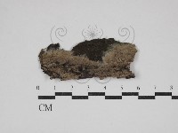 登錄號:F0030589藏品圖，第1張