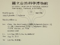 登錄號:F0030590藏品圖，第2張