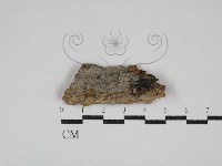 登錄號:F0030590藏品圖，第1張