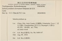 登錄號:F0030590藏品圖，第3張