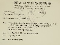 登錄號:F0030591藏品圖，第2張