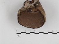 登錄號:F0030591藏品圖，第3張