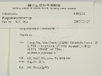 登錄號:F0030592藏品圖，第2張