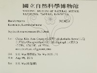 登錄號:F0030593藏品圖，第2張