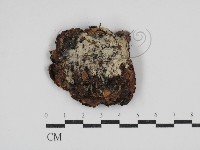 登錄號:F0030594藏品圖，第1張