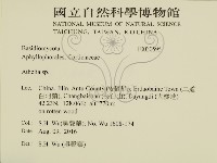 阿太菌屬藏品圖，第2張