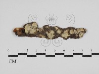 登錄號:F0030598藏品圖，第1張
