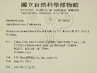 登錄號:F0030599藏品圖，第2張