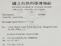 登錄號:F0030603藏品圖，第2張