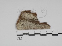 登錄號:F0030606藏品圖，第1張